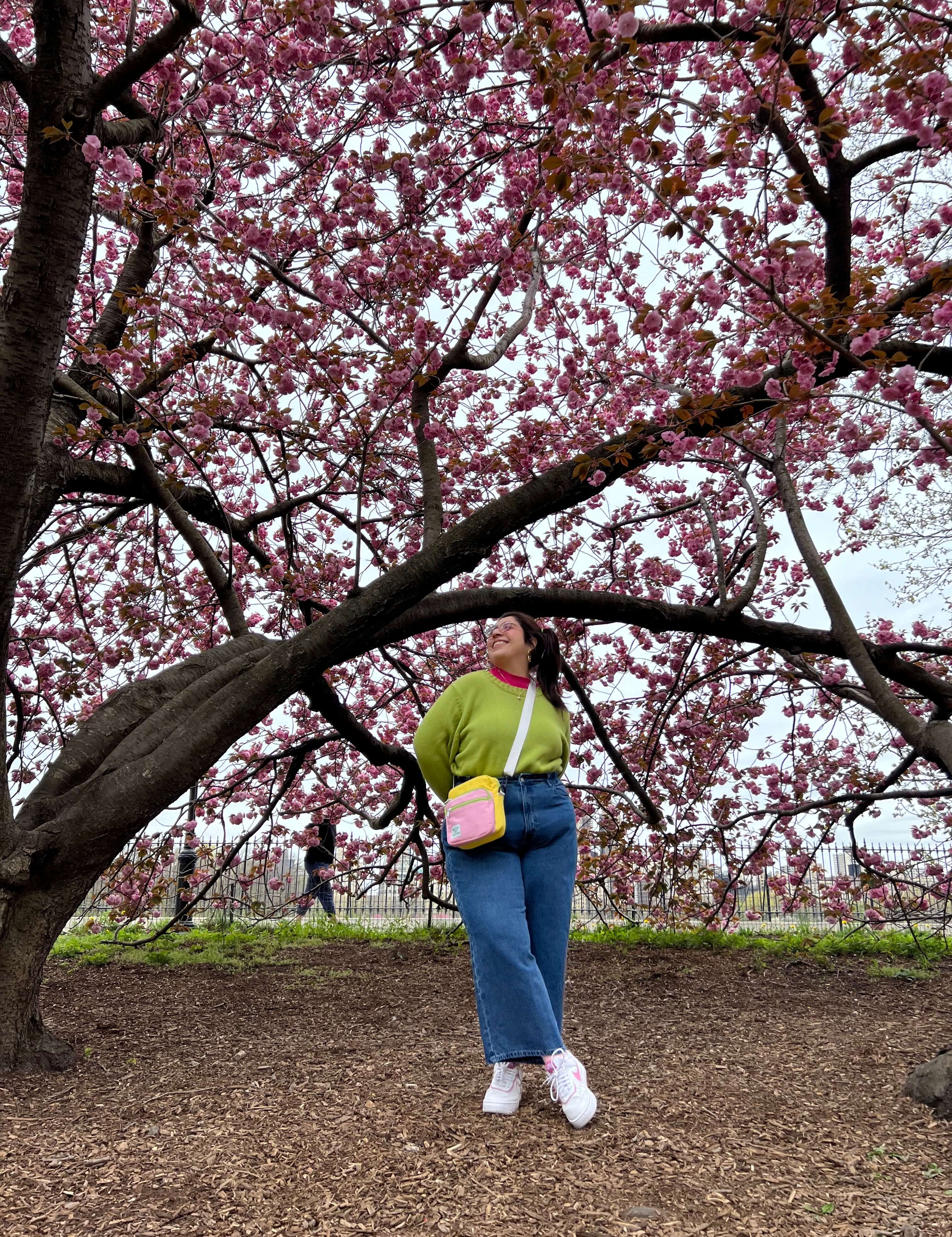 Shiny by Nature Endowed a Cherry Tree in Central Park!